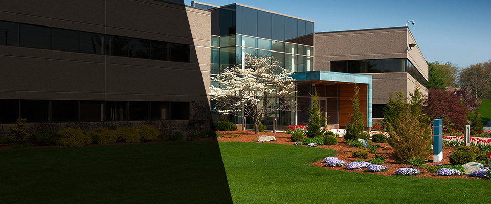 Haddon Heights Landscapers