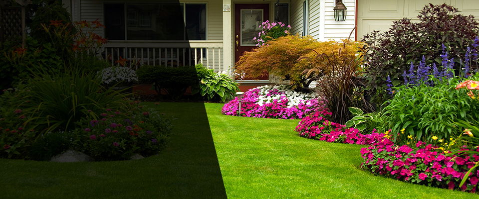 Haddon Heights Landscapers