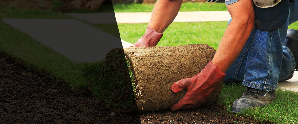 Haddon Heights Landscapers